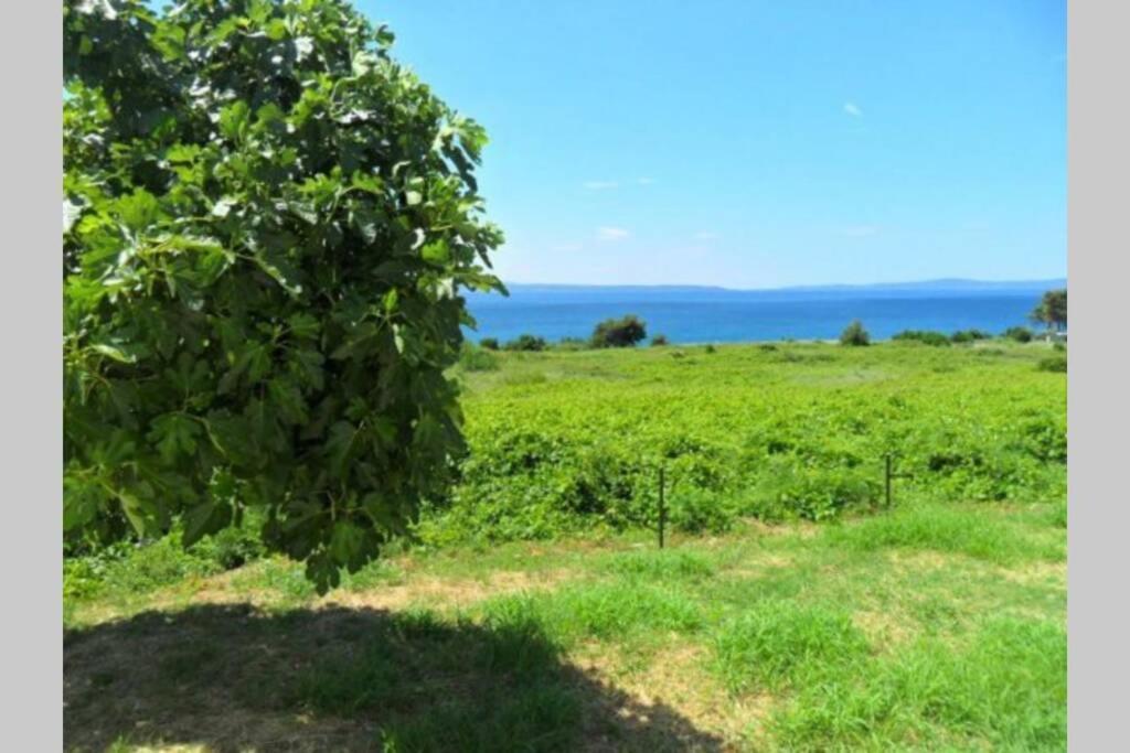 Summerhouse Calypso Split Dış mekan fotoğraf