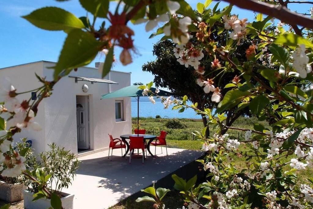 Summerhouse Calypso Split Dış mekan fotoğraf